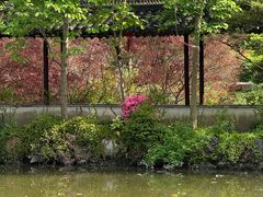 -上海醉白池公园