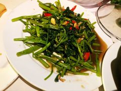 -越海渔村