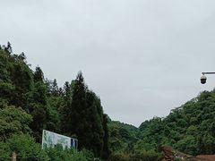 -龙苍沟森林公园
