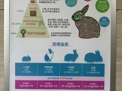 -北京观赏动物医院·24小时大型综合·猫专科·异宠专科