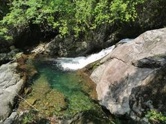 -东天目山风景区