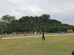 -大屏嶂森林公园