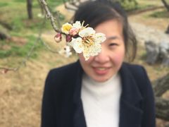-香雪海