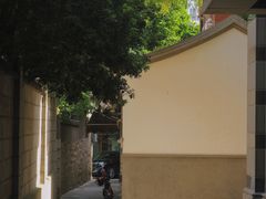 -溪岸路花鸟市场
