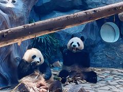-乐和乐都主题乐园