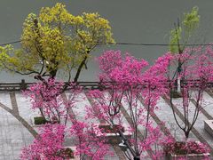 -新安江农贸市场