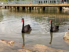 -鄂尔多斯野生动物园