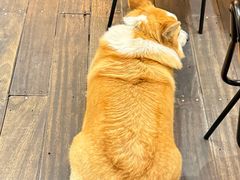 -肥朵食堂(带梦胡同店)