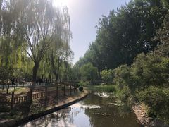 -燕郊植物园