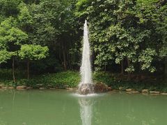 -大奇山国家森林公园