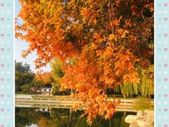 景点-陶然亭公园