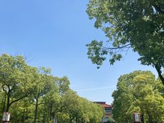 -高旻寺