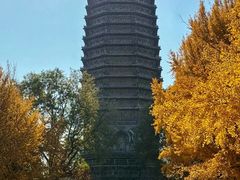 -玲珑塔公园
