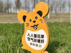 -天津东丽湖风景区