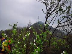 -午潮山国家森林公园