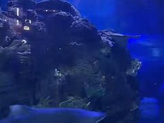 -江和美海洋公园