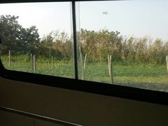 -喜洋洋蟹庄(阳澄湖店)