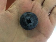 -西郊国际农产品交易中心