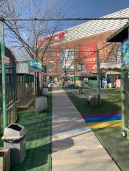 -萌宠亲子动物乐园(槐房万达店)