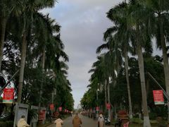 -万绿园