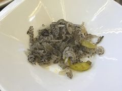 -上海嘉定喜来登酒店