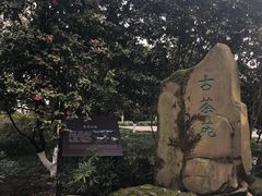 -南山植物园