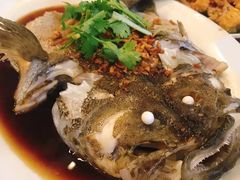 -大树下海鲜饭店