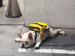 -RAC BAR(安福路店)