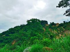 -火炉山森林公园