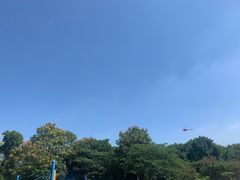 -上海月湖雕塑公园