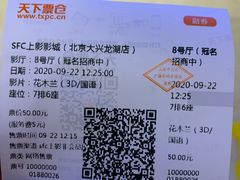-SFC上影影城(北京大兴龙湖天街IMAX店)