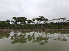 -东寨港红树林旅游区