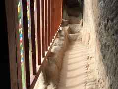 -张掖大佛寺景区