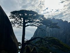 -黄山风景区