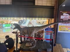 -CGV影城(壹方城IMAX店)
