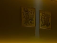 -丽晶大班SPA(大沽店)