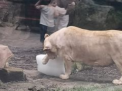 -成都动物园