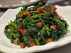 -喀什骑仕大观园