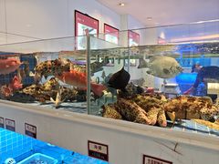 -金苑海鲜酒家(来魅力店)