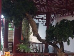 -圣和汤泉•汗蒸温泉自助