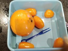 -水木谷养生水汇