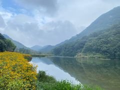 -广州市石门国家森林公园