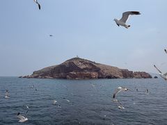 -海驴岛(荣成市)