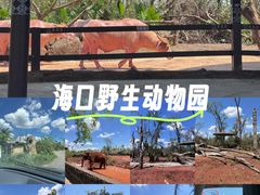 -海南热带野生动植物园