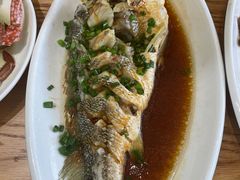 -金海湾海鲜排档(朱家尖店)