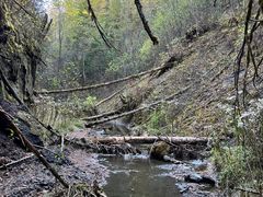 -峡谷浮石林景区