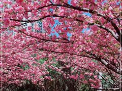 -苏州河梦清园环保主题公园