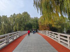 -大兴滨河森林公园