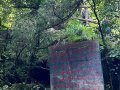 -黄山翡翠谷景区
