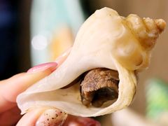 旨煮花螺-璞御·海鲜·雪花牛肉局(宾水西道店)